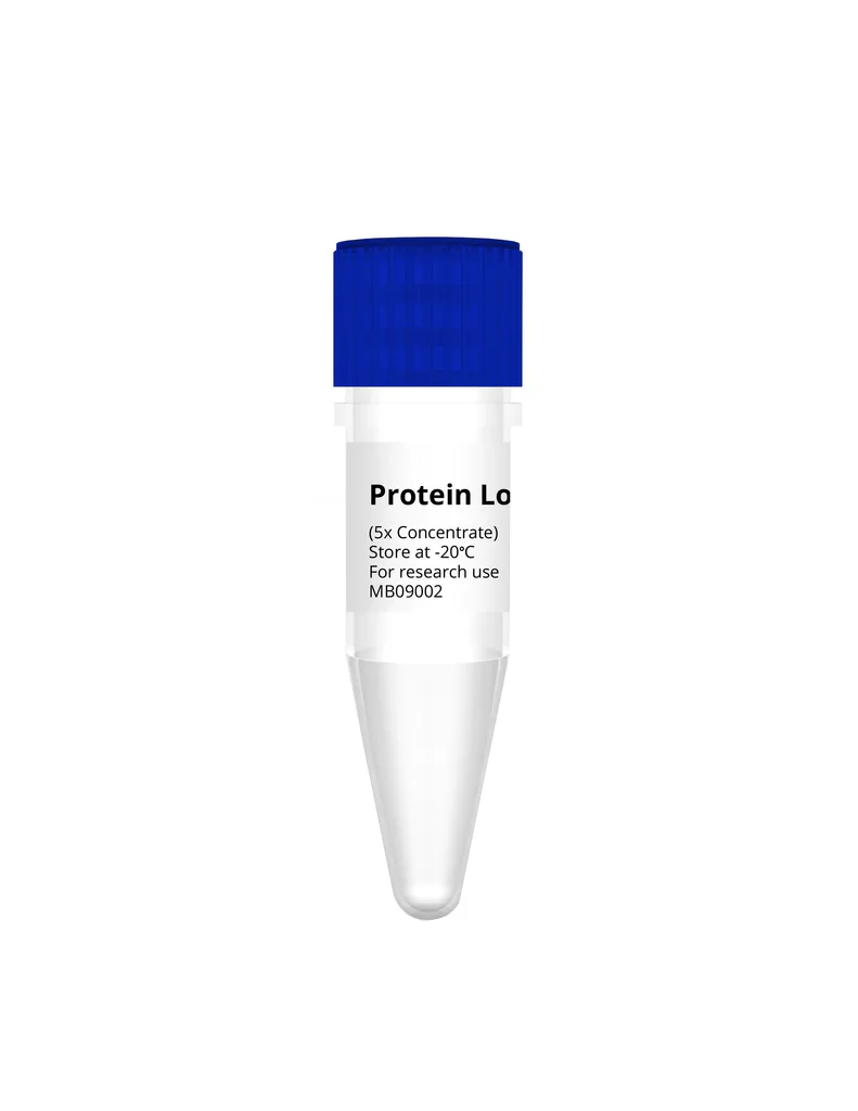 DNA/RNA/Protein Extraction Kit - Image 14