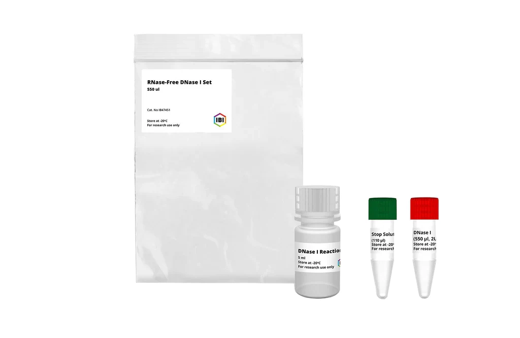DNase I - Image 2