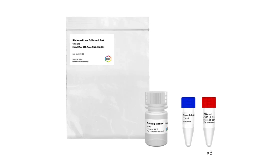 DNase I - Image 3