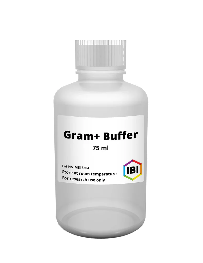 gBAC Mini Genomic DNA Kit - Image 22