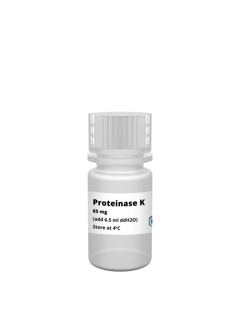 gBAC Mini Genomic DNA Kit - Image 25