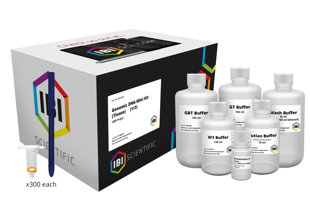 Mini Genomic DNA Kit (Tissue) - Image 3